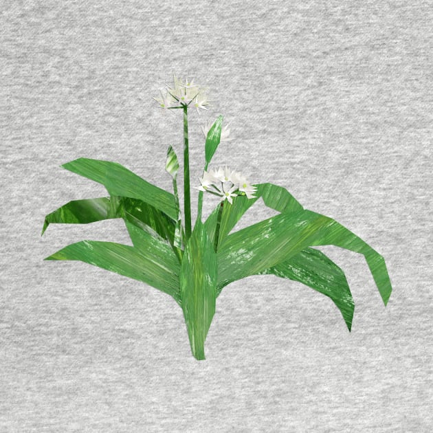 Ramson (Wild Garlic) by Babban Gaelg